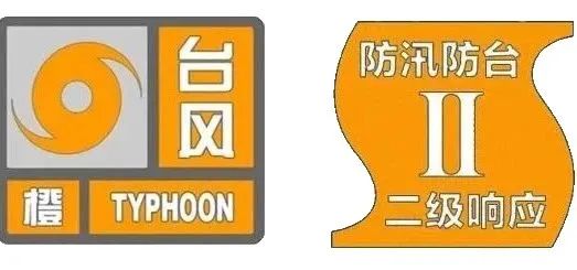 桐城最新汛情报告及防汛动态更新（25日）