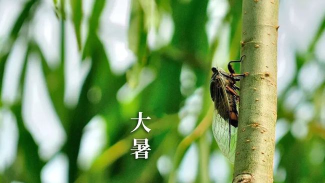 夏蝉新声，最新科技新品评测