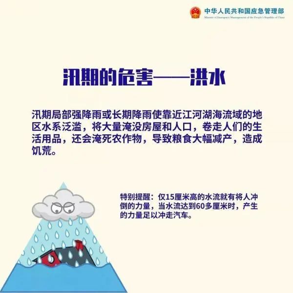 岳阳汛情最新报告，聚焦汛期进展与应对策略