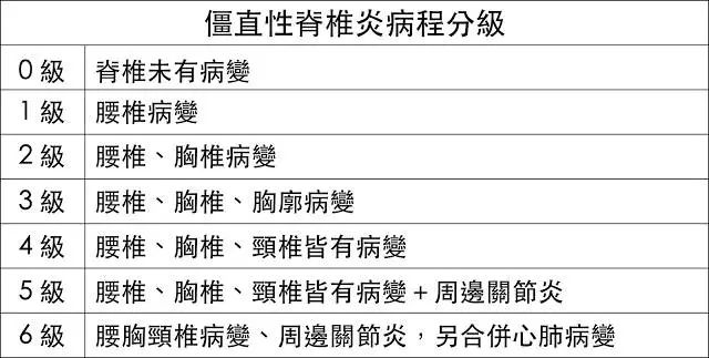 澳门最准一码一肖一特，连贯评估方法_The15.49.20
