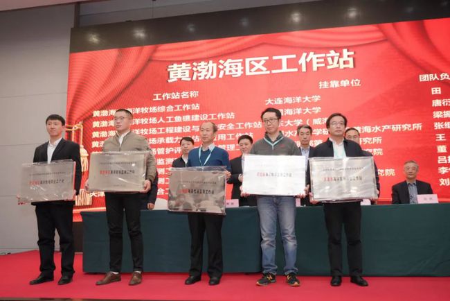 铁力市最新公告解读与产品评测报告