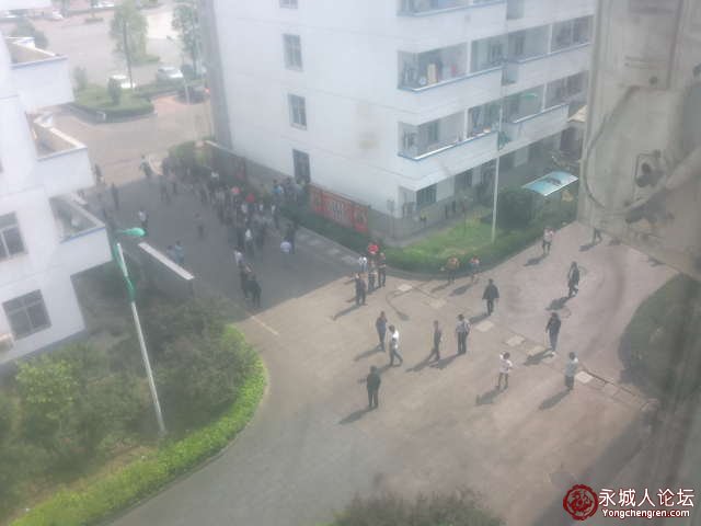 最新动态报道