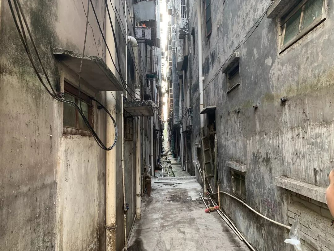 初告白 第96页