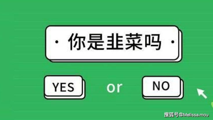 广富宝最新动态下的温馨日常，友谊纽带与家的温暖（11月14日更新）