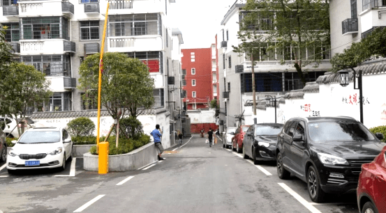 线下采集 第439页
