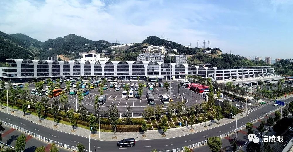 重庆涪陵龙头港11月25日最新动态与温馨日常趣事
