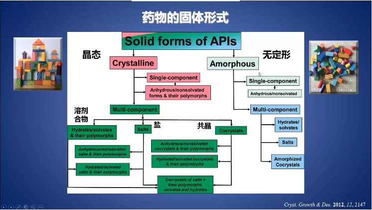 历史上的11月28日流行半袖图片回顾与故事