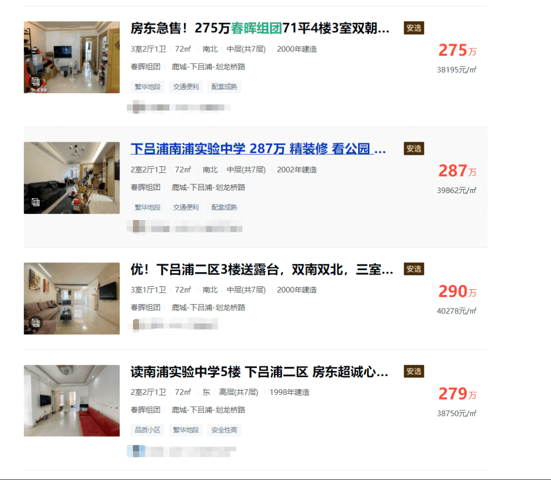 揭秘历史与创新体验，山东芋头热门价格背后的科技力量与今日市场动态（附今日山东芋头热门价格）