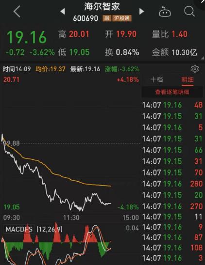 海尔股票在2024年12月1日的展望与热门情况分析