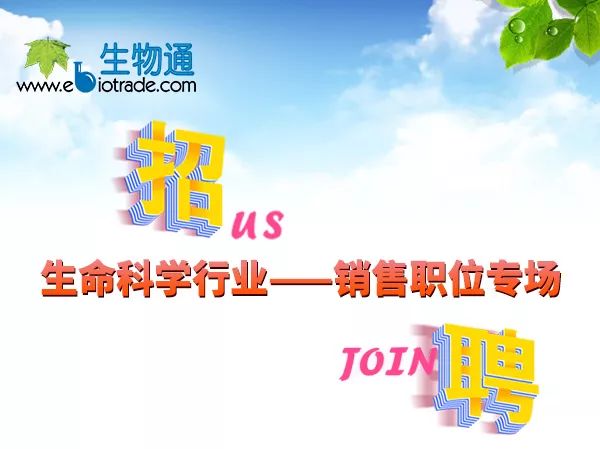 探秘襄阳小巷深处的宝藏小店，热门求职招聘信息背后的故事（2024年12月版）