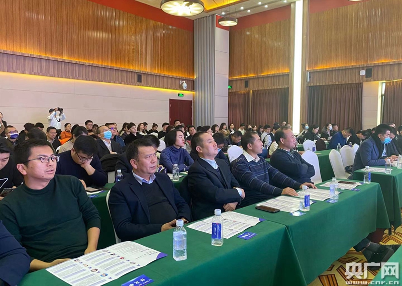 宜都市委常委新名单揭晓，背景、影响与时代地位探究