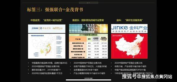 2024年仙帝归来风无极光最新版全面测评与介绍