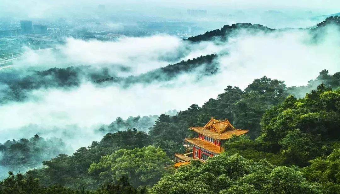 绩溪热门肺炎回顾与反思，历年12月4日事件聚焦