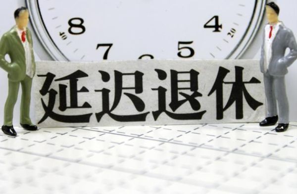 重磅更新！延迟退休政策调整深度解读及历年最新动态影响洞察