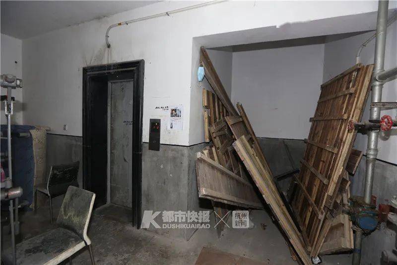 探秘最新健猪舍，寻找内心平静的奇妙旅程