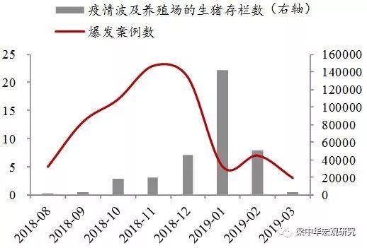 历史上的毛竹价格变迁，聚焦十二月六日的最新动态与探析