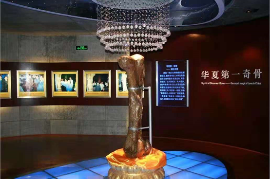 初告白 第29页