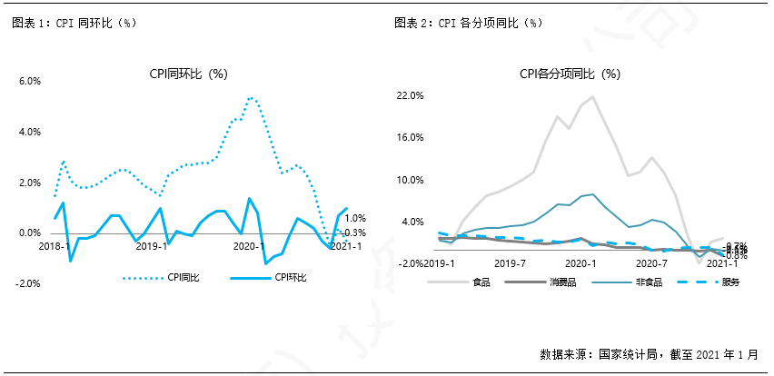 揭秘胰岛素实时释放技术，特性、体验、竞品对比与用户群体深度解析