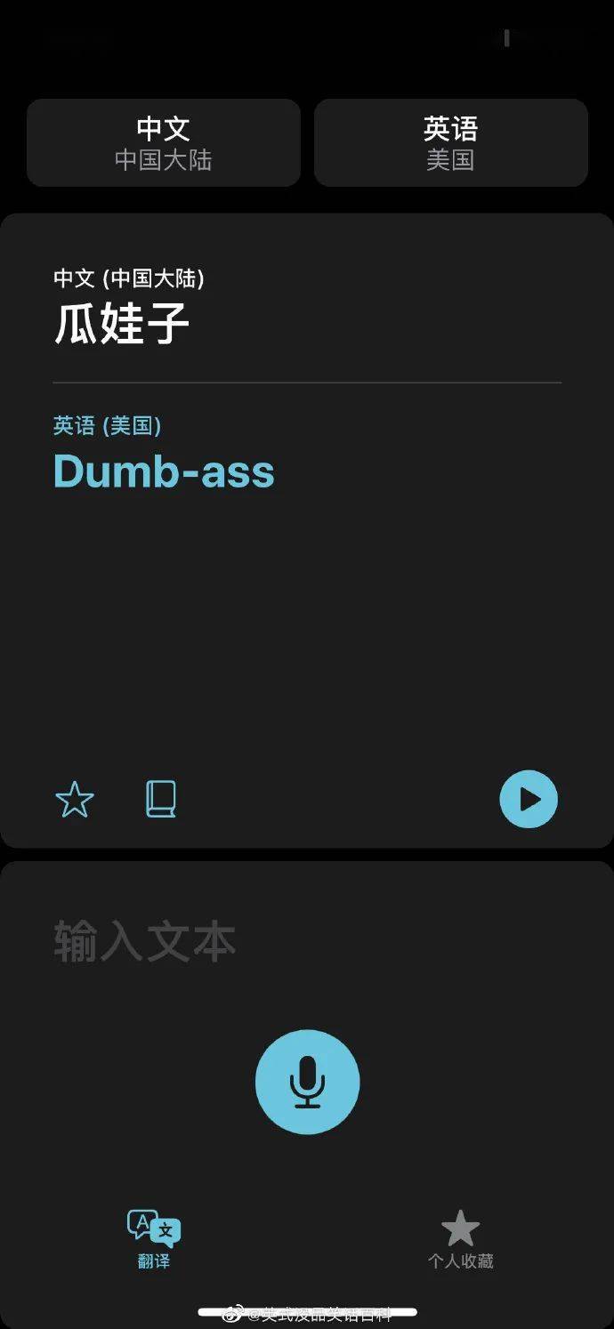 探秘小巷深处的苹果翻译奇遇记，揭秘十二月实时翻译失灵之谜
