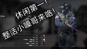 从CSGO世界到自然之旅，追寻内心的宁静与和谐