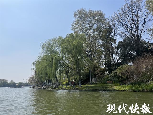 苏州景点人流查询攻略，往年人流数据对比与实时查询指南