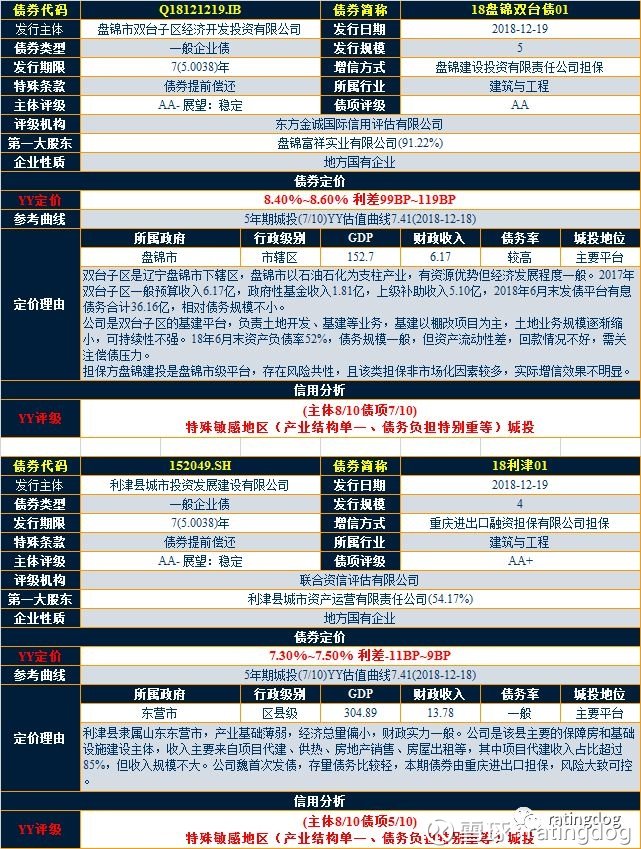 历年与实时报告查询软件，揭秘十二月十八日的软件概览