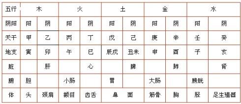 卡塔尔飞机轨迹图，历史与实时交织的解读与猜测