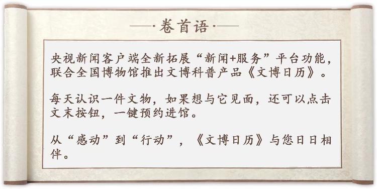 跨越时空的救援，月日月日历史救援直播与星空下的温馨故事