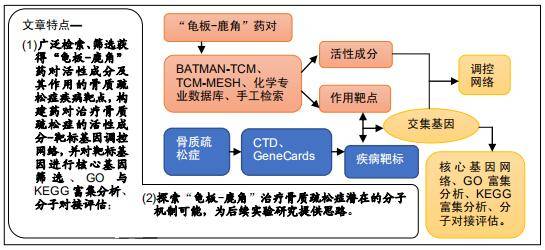 容错机制落实难题，挑战与应对策略
