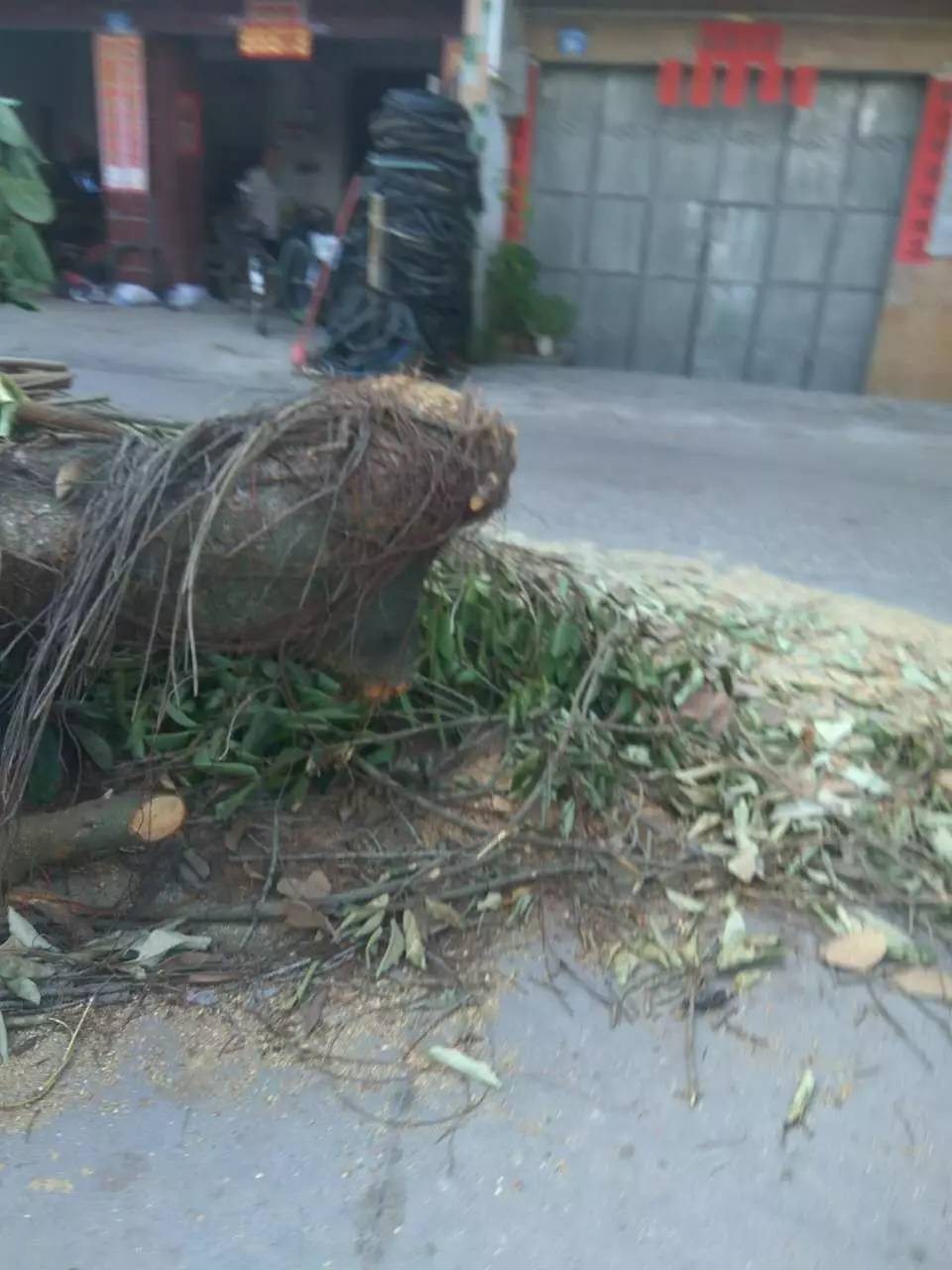 水口割不断，水口断了打一动物 