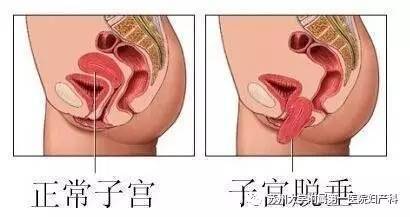 问卷 第247页
