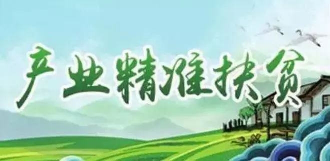 环保责任主体落实，构建可持续发展之路的钥匙