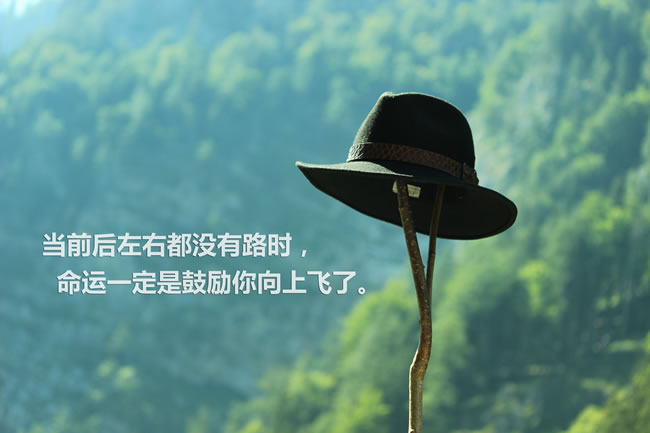 追逐梦想的励志箴言，激发无限潜能！