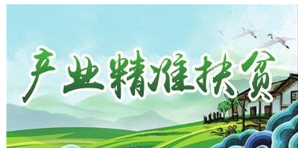 产业扶贫长效不断，产业扶贫的效果是长期的可持续的 