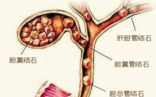 线下采集 第217页