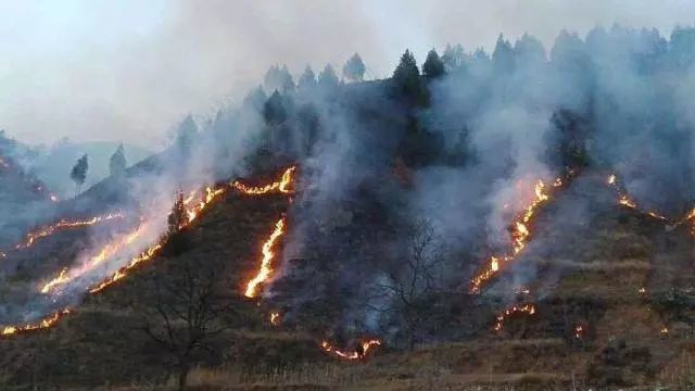 木里县突发山火，木里县发生森林火灾 