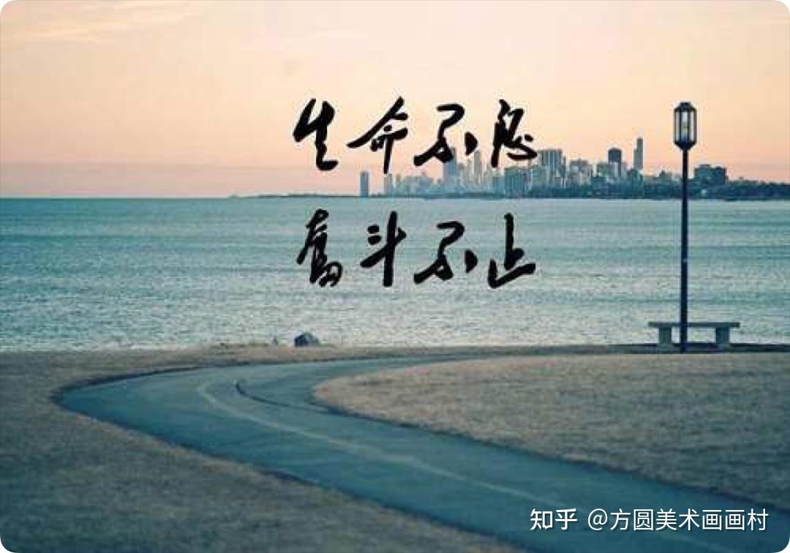 明星励志语录揭秘，星光背后的奋斗与智慧启示