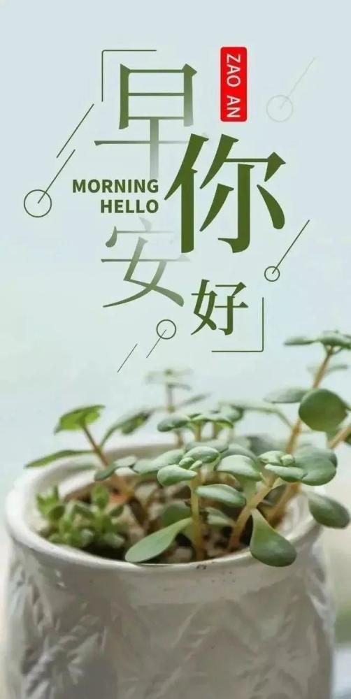 励志早安语录，情感激发新力量