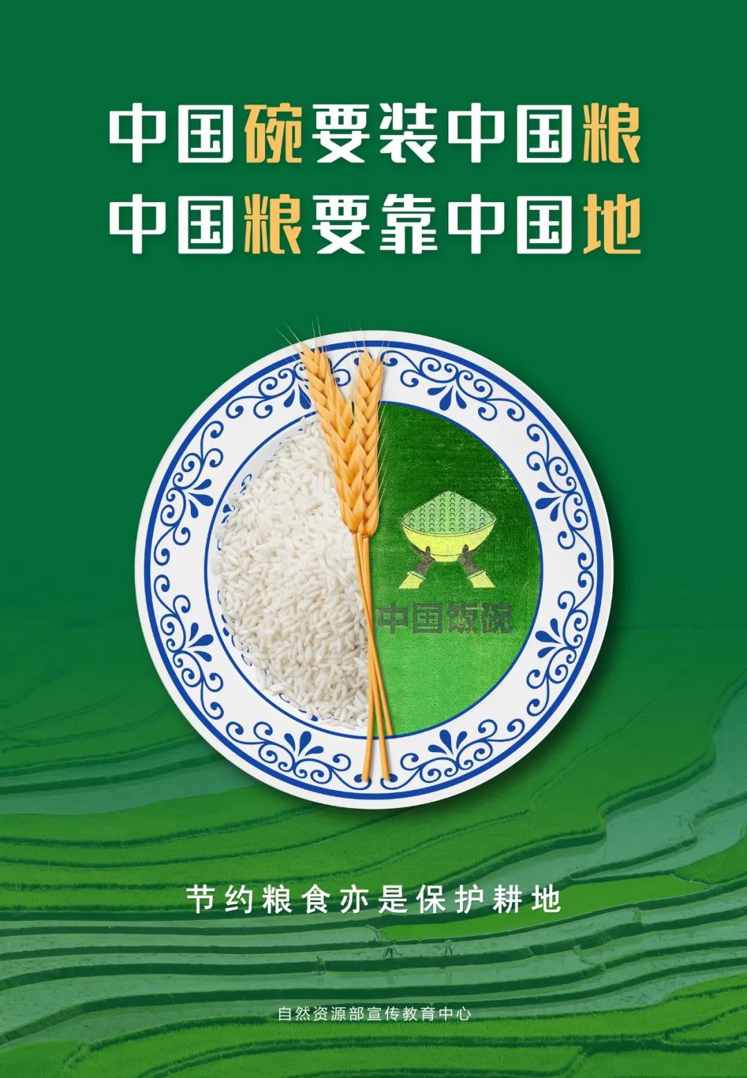 线下采集 第178页