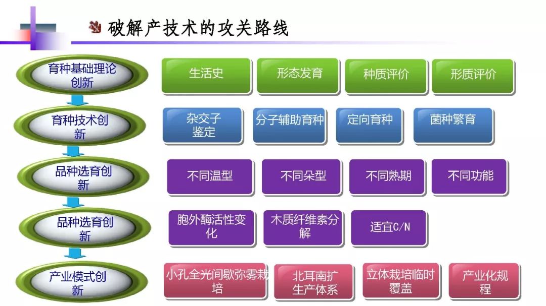 全局思维，实现工作高效执行的核心策略
