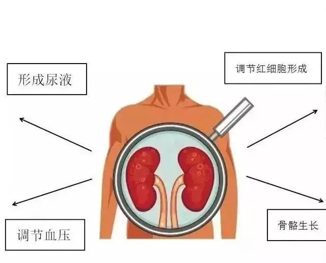 深圳青年突发脑梗死警示，健康警钟长鸣，守护健康刻不容缓