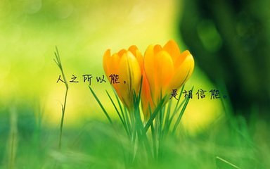 音乐、忧伤与励志，短句语录的力量触动心灵