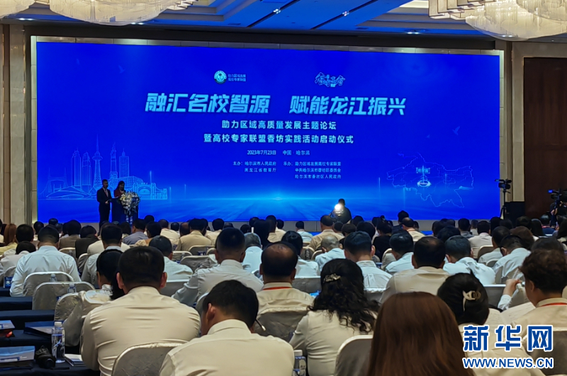 紧扣调研脉搏，推动落实行动，助力高质量发展！