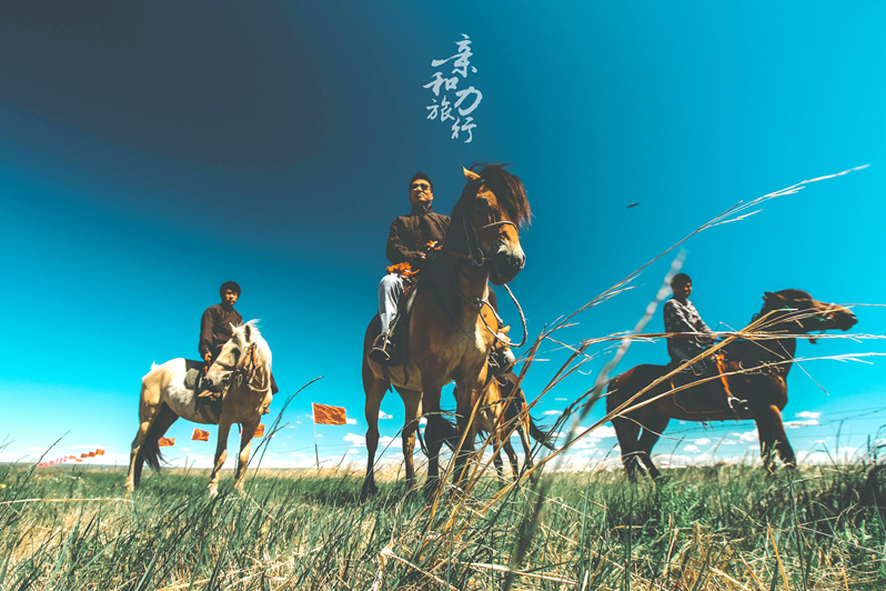 西北之旅最新攻略大全，带你玩转神秘之旅！