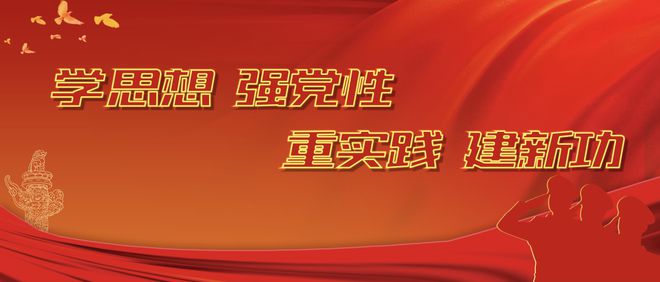 按要求整改落实，筑牢发展稳定的基石，行动指南与成效保障