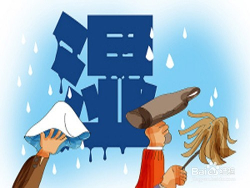 百度教你如何除湿，实用经验分享，轻松告别潮湿困扰！