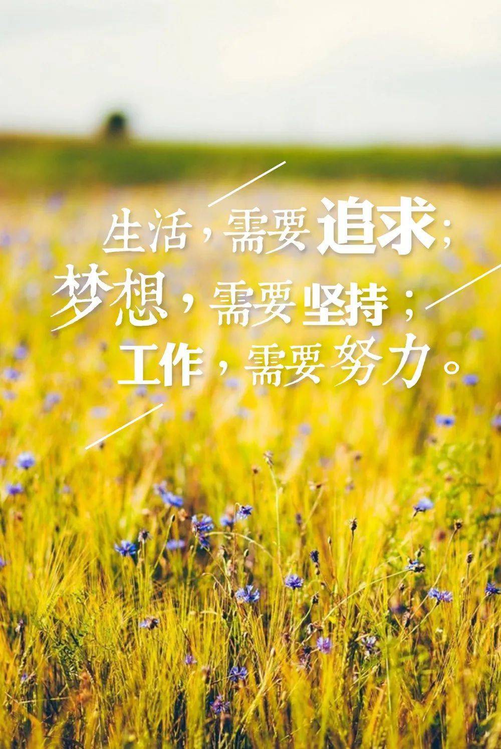 食淡衣粗