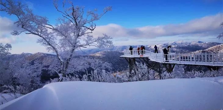 杭州冬季旅游攻略，揭秘天堂魅力，畅游冬日美景